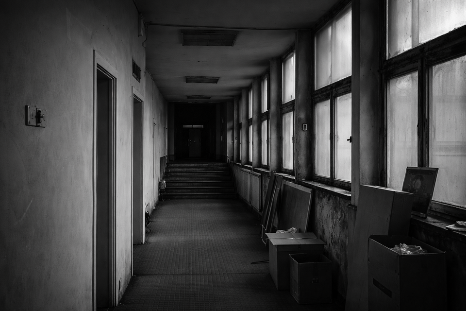 Why Healthcare Determines Whether Societies Hold Under Pressure